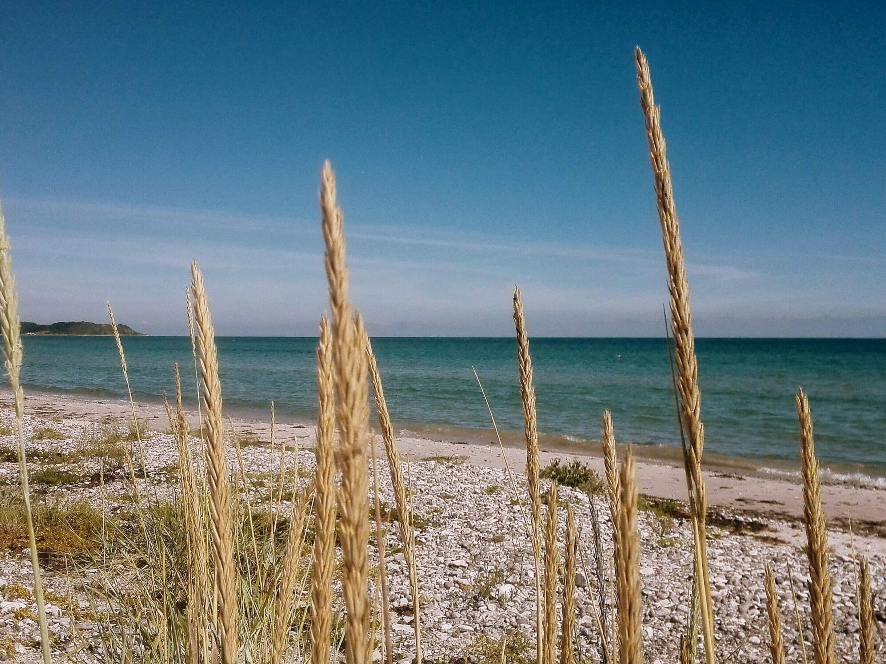 House | Water view