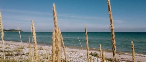Huis | Uitzicht op het water