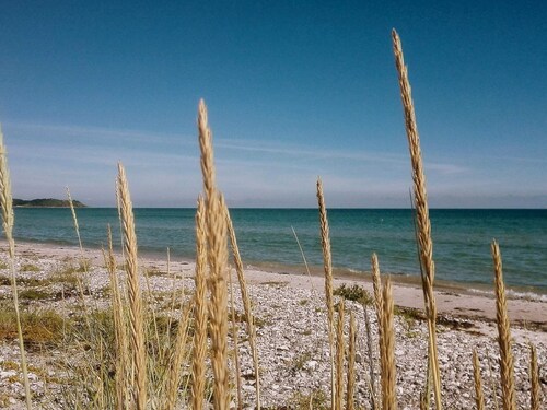 6 Person Holiday Home in Ebeltoft