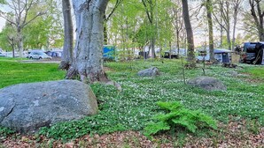 A park with large rocks, green grass, and trees. - 7 Person Holiday Home in Solvesborg-by Traum (Sölvesborg)