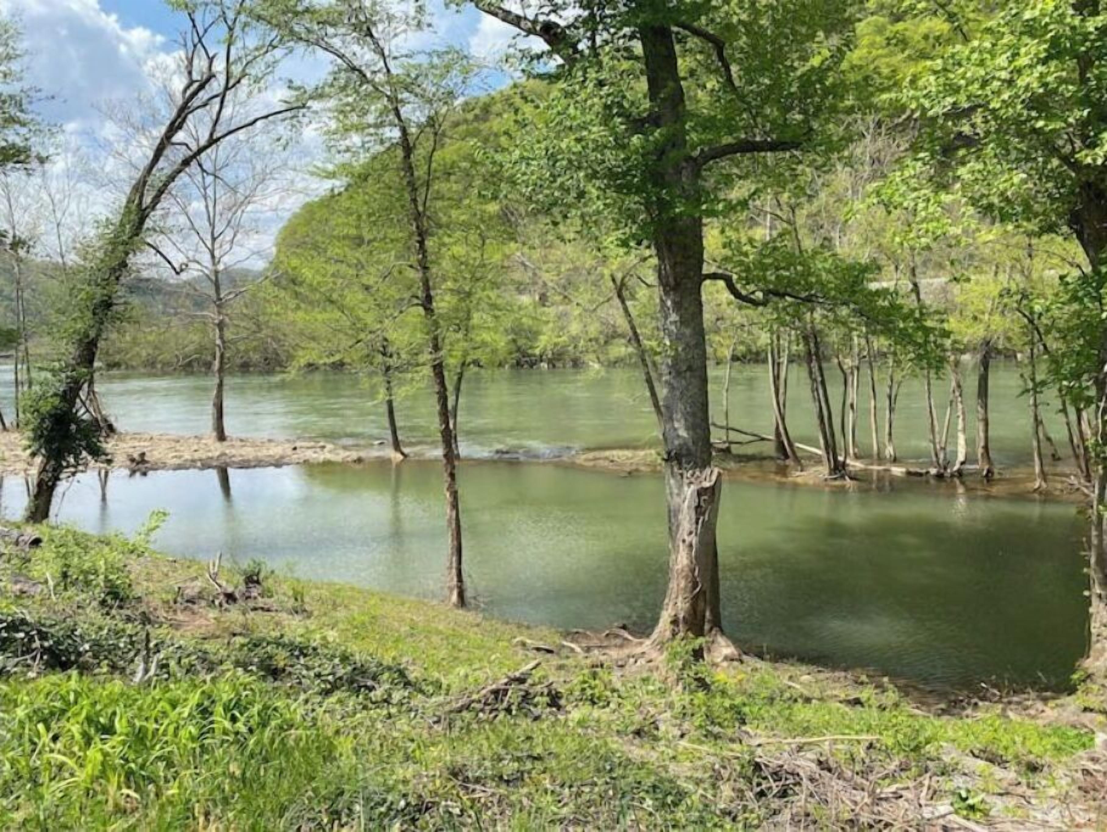 Un paisaje tranquilo a orillas del río, con árboles y riberas cubiertas de hierba.