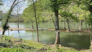 Un paisaje tranquilo a orillas del río, con árboles y riberas cubiertas de hierba.