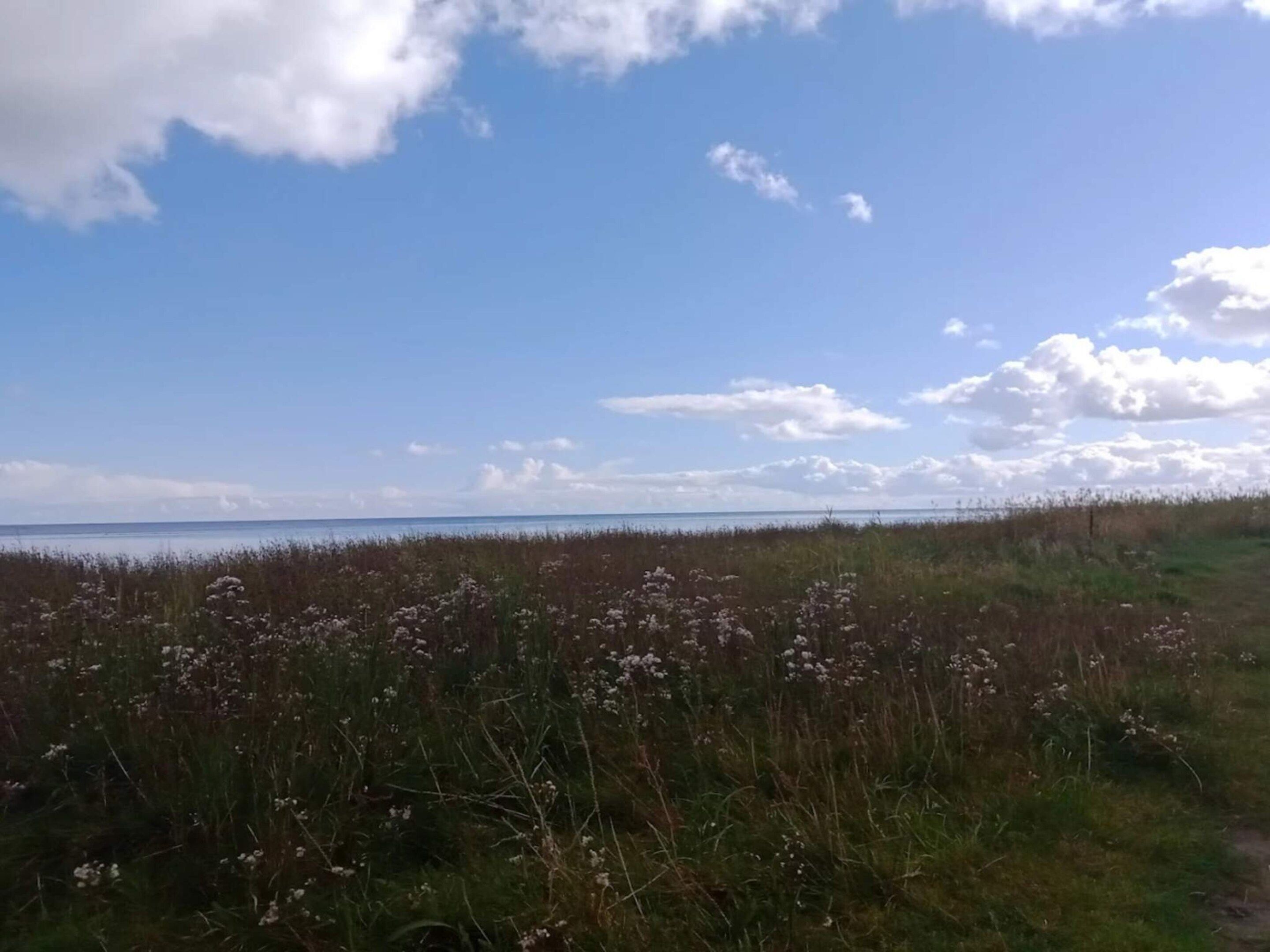Un paysage côtier avec un ciel dégagé et un champ herbeux au premier plan.