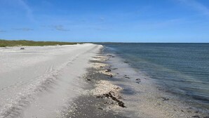 A beach with a clear sky and calm sea. - 4 Star Holiday Home in Jerup (Jerup)