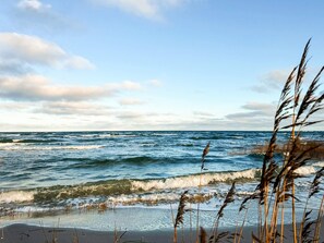A beach with waves and grasses in the foreground.