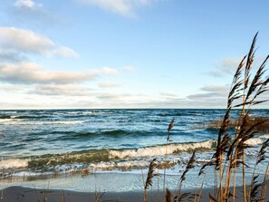 Uma praia com ondas e vegetação em primeiro plano.