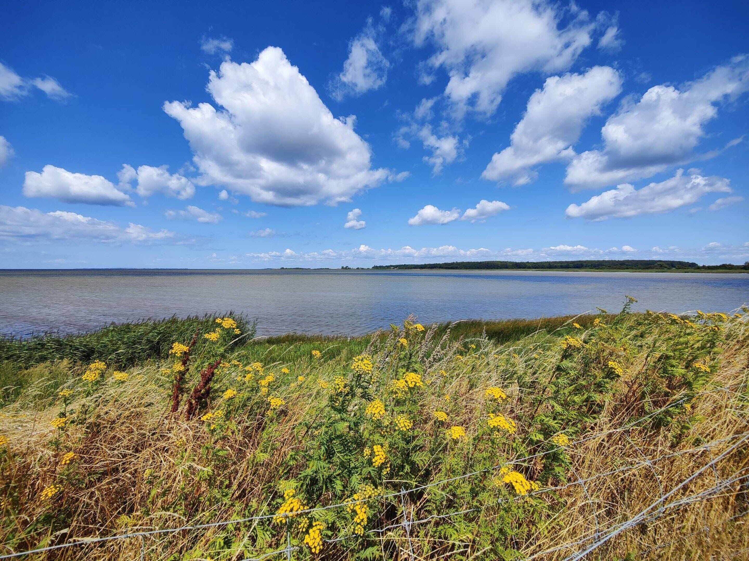 Eine natürliche Landschaft mit einem Gewässer, grasbewachsenen Flächen und blauem Himmel.