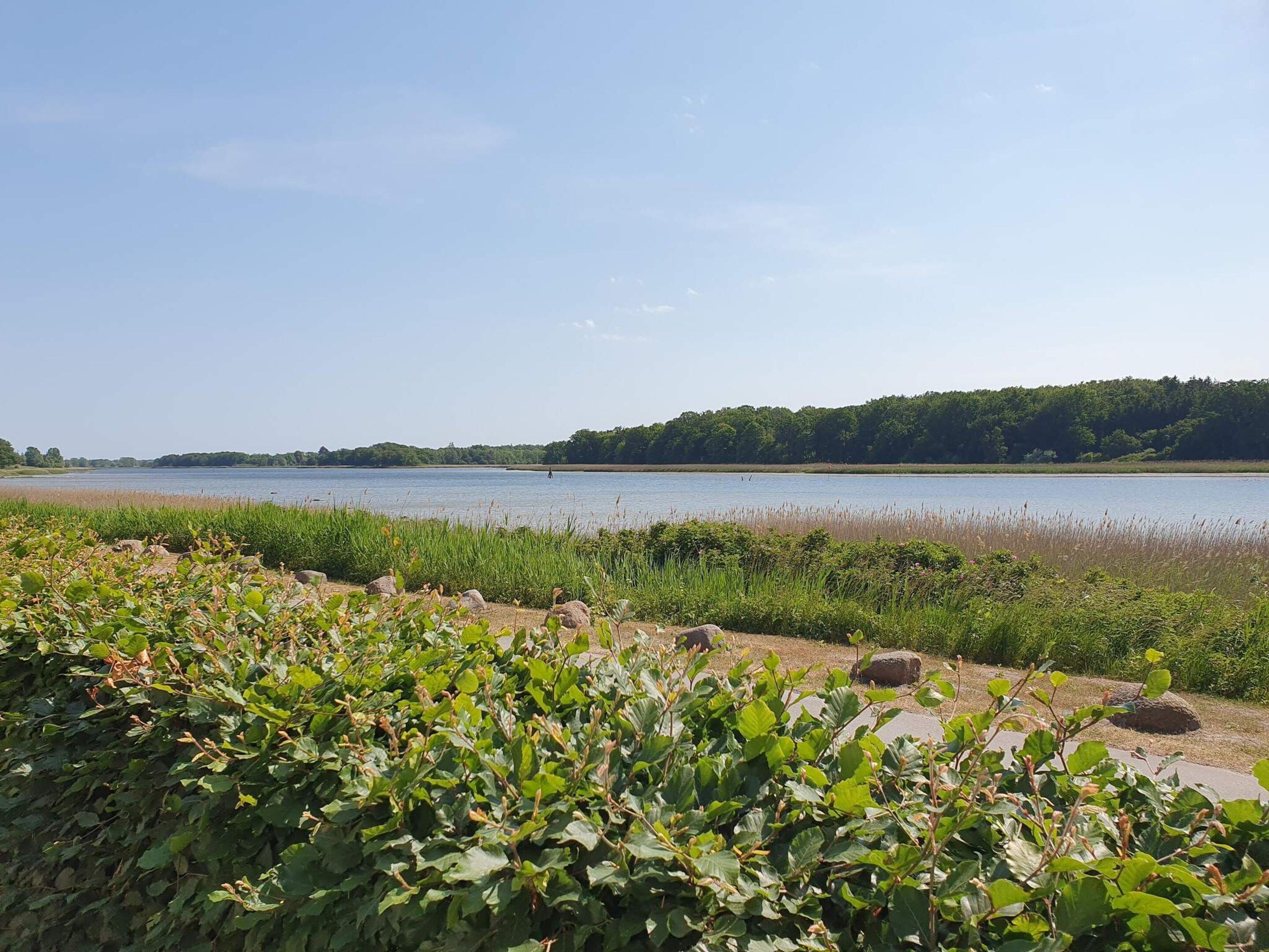 Een natuurlijk landschap met een waterlichaam, een bebost gebied en een grasachtige voorgrond.