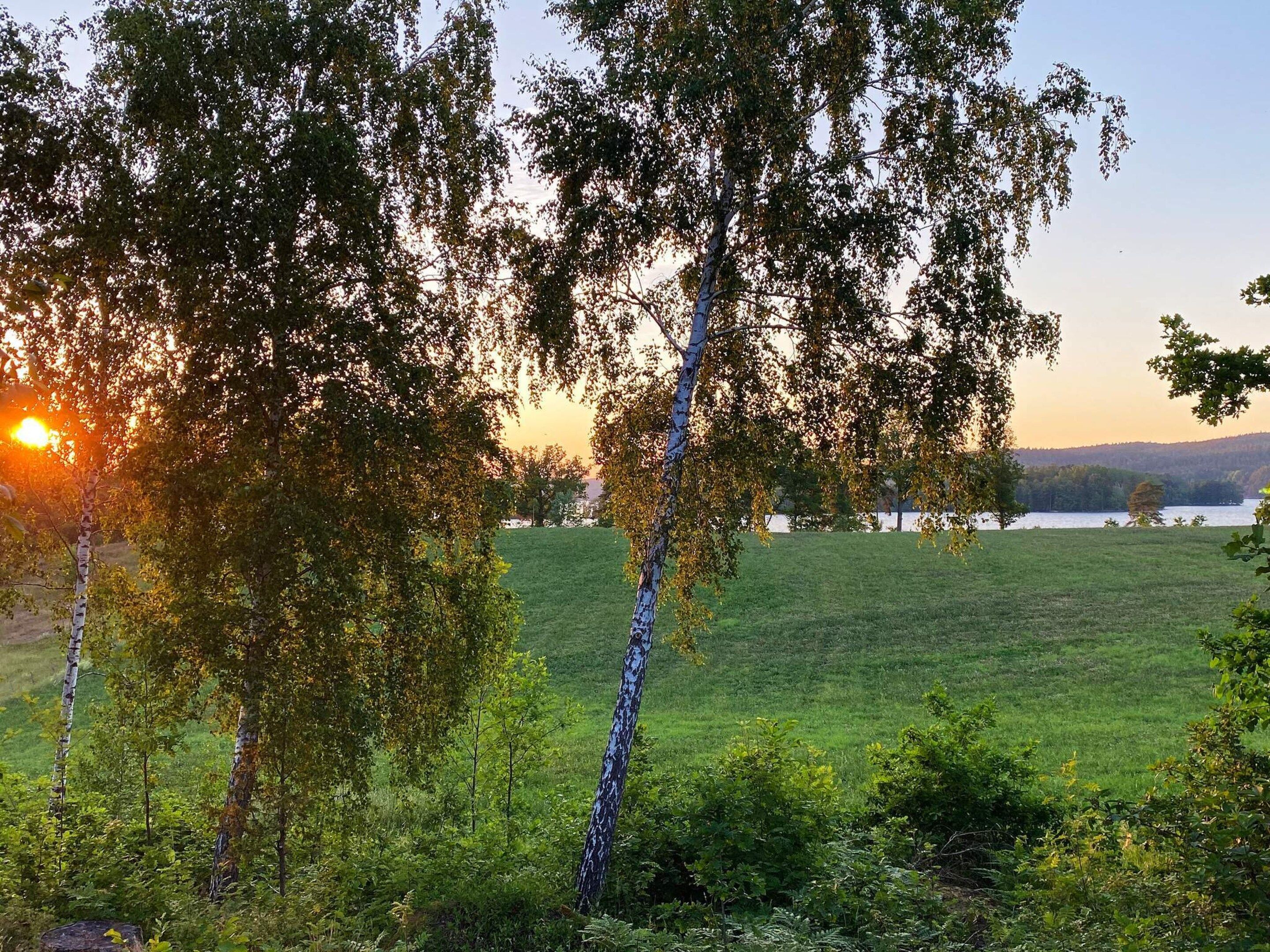 Ferienhaus | Außenbereich