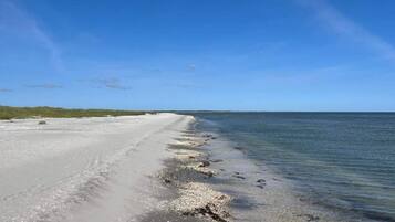 En strand med klar himmel och stilla hav.