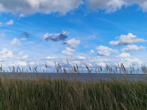 House | Miscellaneous - 6 Person Holiday Home in Grenaa (Grenaa)