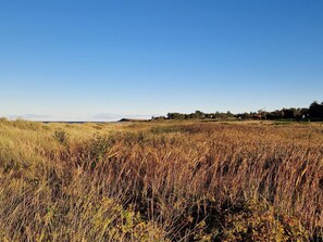 House | Miscellaneous - 6 Person Holiday Home in Grenaa (Grenaa)