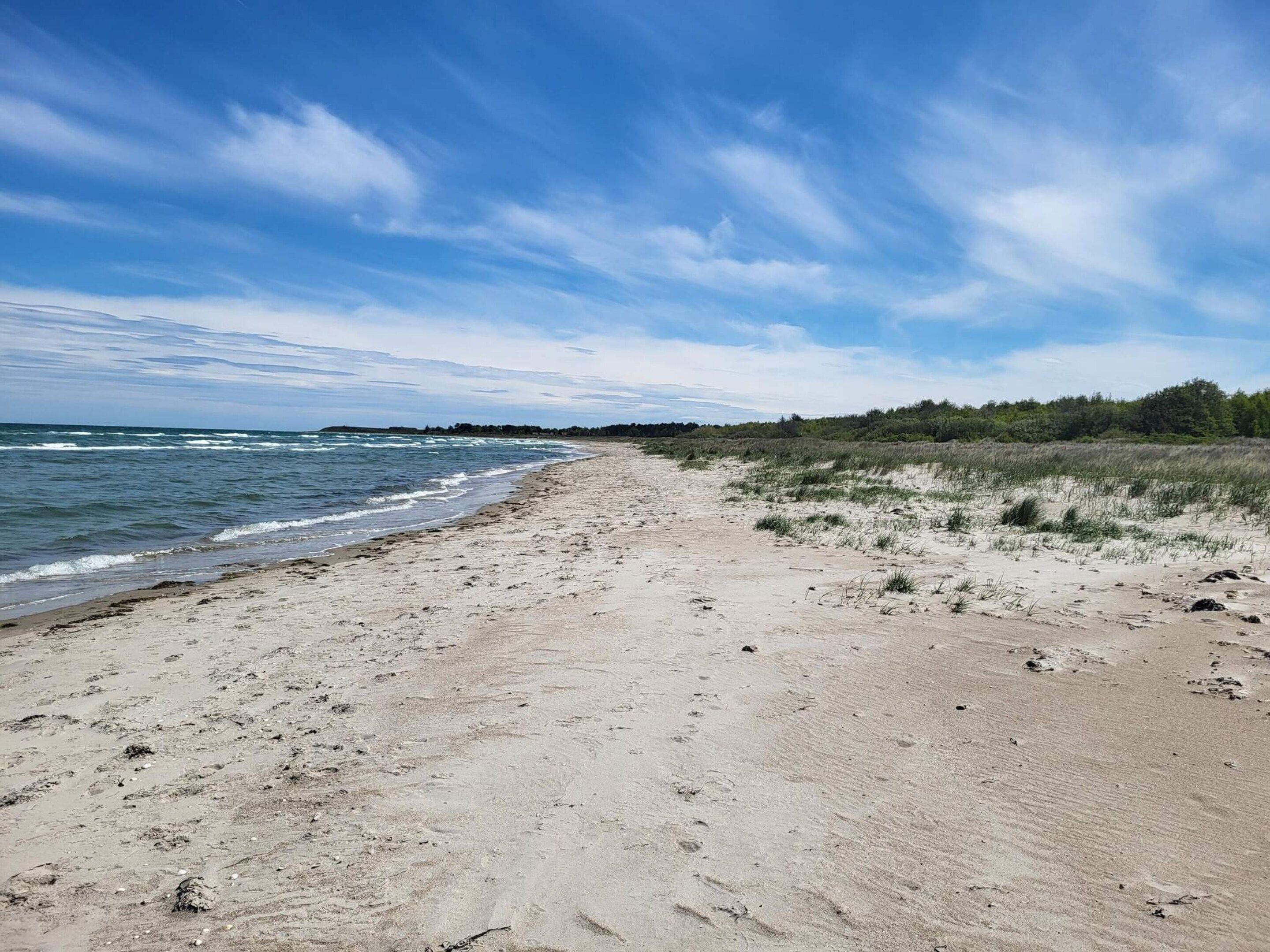 Ein Strand mit blauem Himmel, sandigem Ufer und Vegetation.
