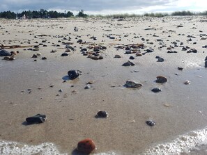 A beach with scattered rocks and seaweed. - 6 Person Holiday Home in Grenaa (Grenaa)