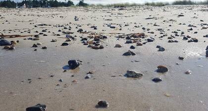 6 Person Holiday Home in Grenaa