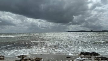 A beach with waves, seaweed, and a cloudy sky.