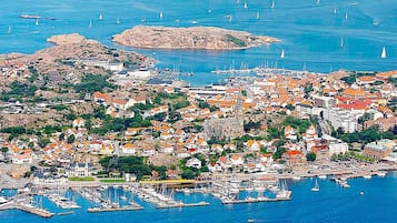House | Aerial view