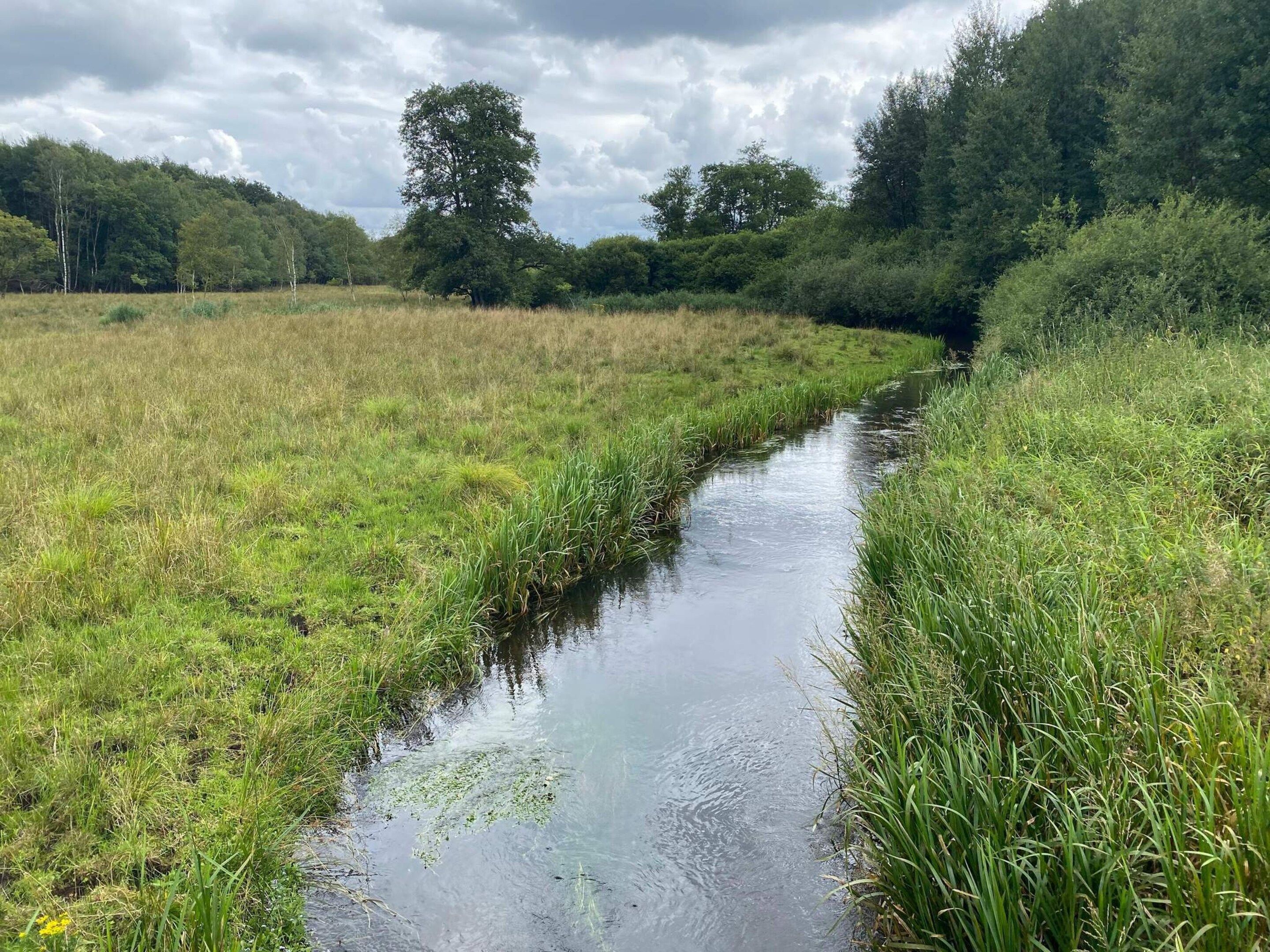 A narrow water channel bordered by grassy banks and trees, under a cloudy sky.