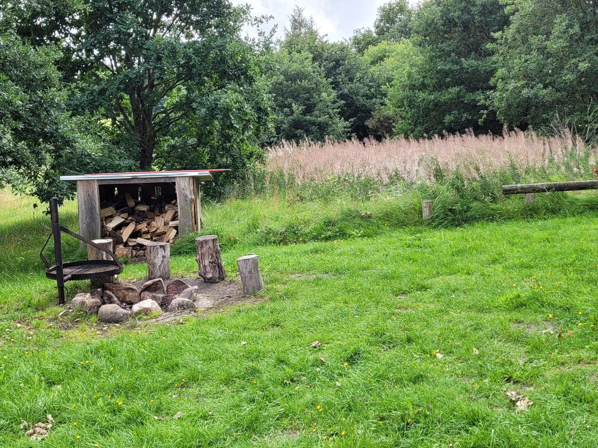 A rustic outdoor setting with a wooden structure, possibly a shed, surrounded by a grassy field and dense trees.