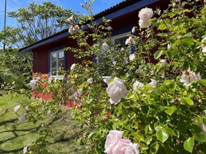 House | Exterior - 4 Person Holiday Home in Skarhamn-by Traum (Skaerhamn)