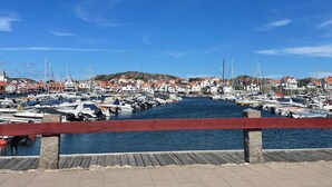 Ein Yachthafen mit vertäuten Booten, einem Holzsteg und Häusern im Hintergrund.