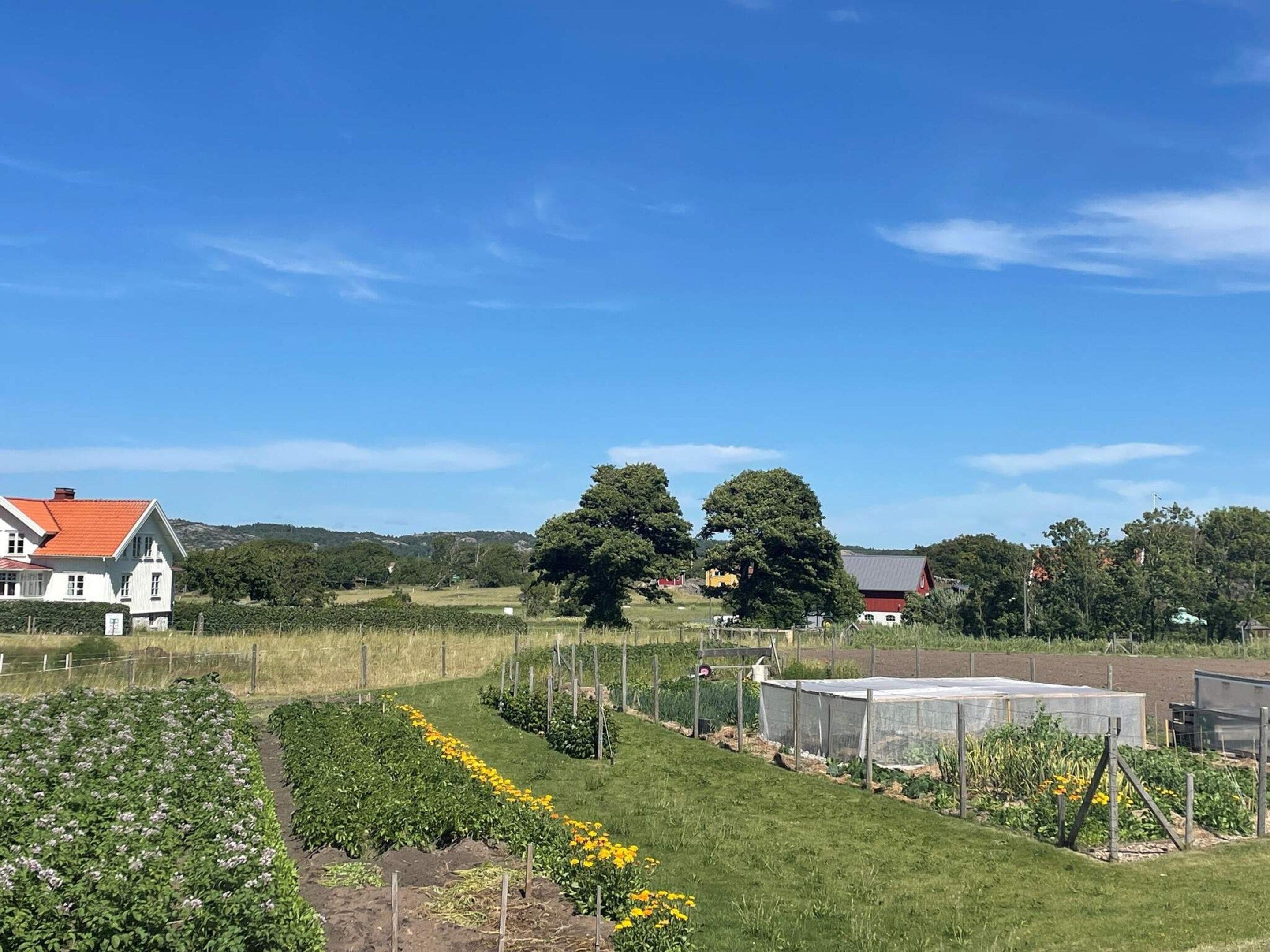Paisaje rural con una casa, un jardín con diversas plantas y un cielo azul despejado.
