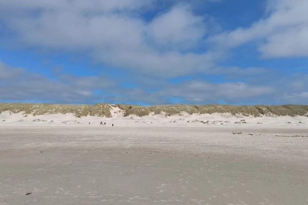 House | Beach