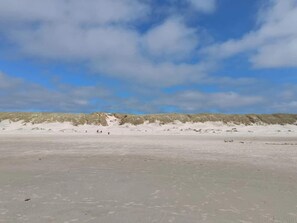 A beach with sand dunes and a clear sky. - 5 Star Holiday Home in Oksbol (Oksbol)