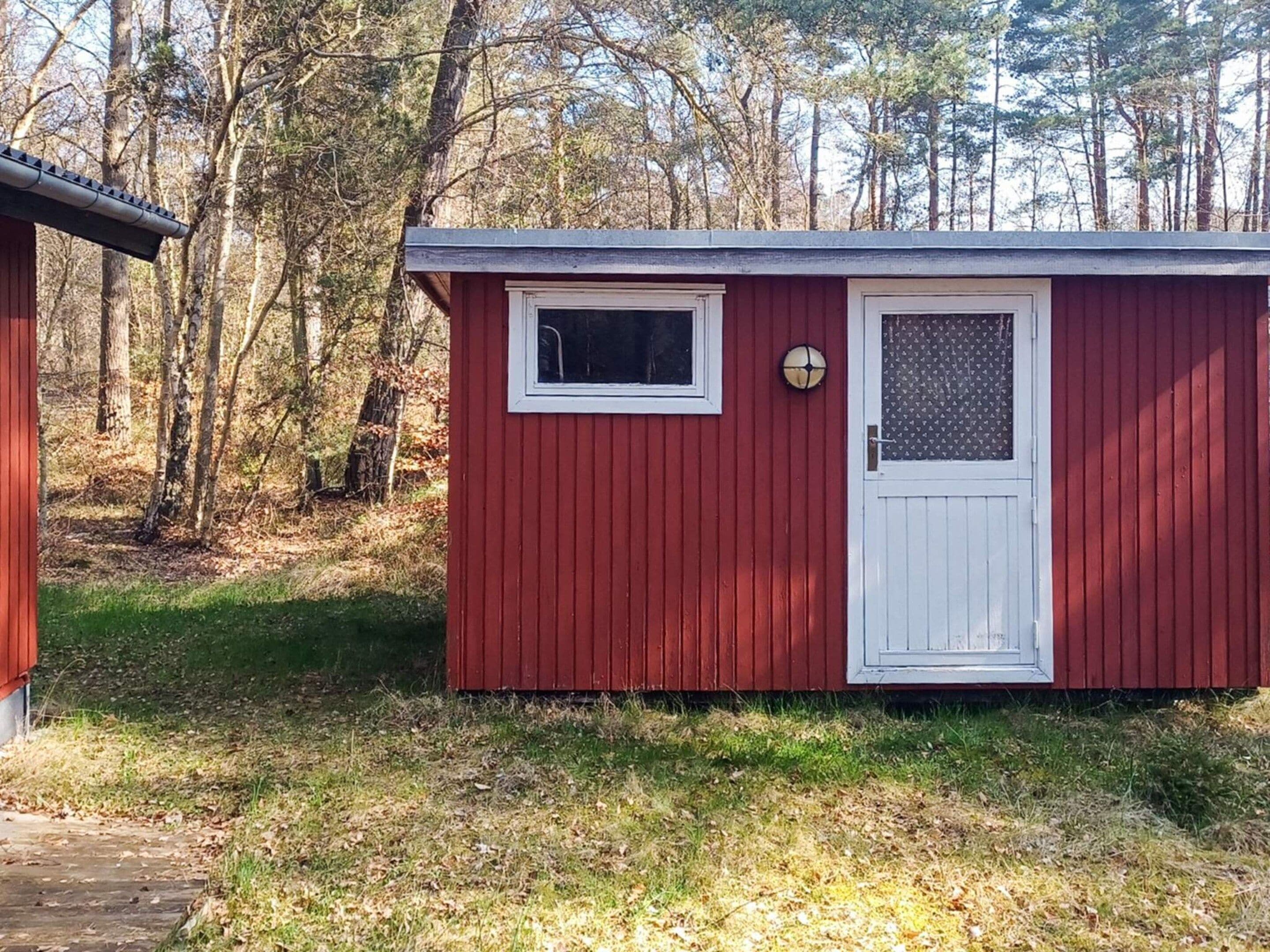 Un cobertizo de madera rojo pequeño con una puerta y ventana blanca, rodeado de árboles.
