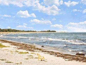 A beach with a chair and seaweed on the shore. - 5 Person Holiday Home in Stege (Stege)