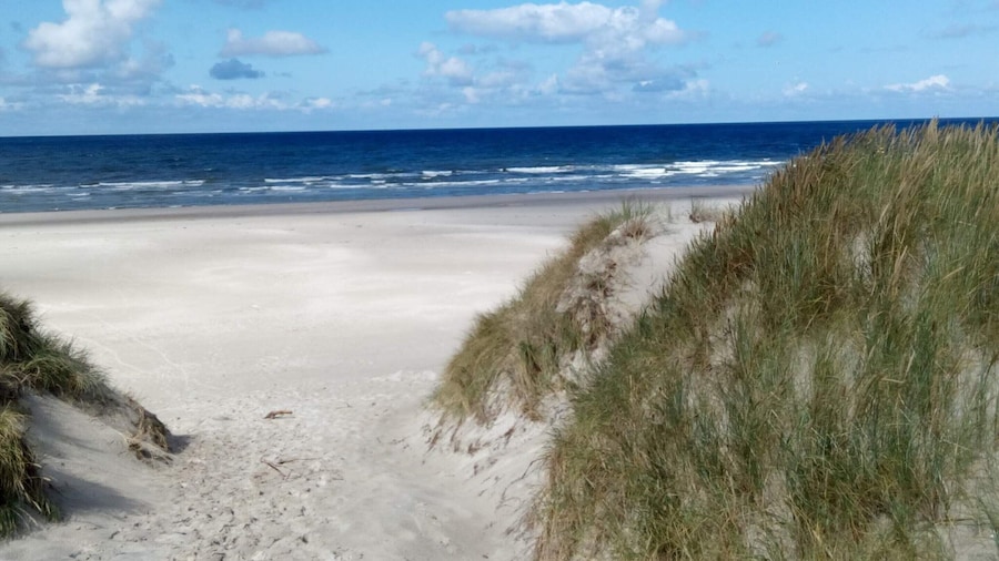 4 Star Holiday Home in Oksbol