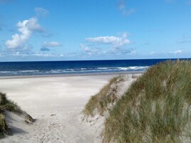Una playa con cielo despejado, orilla arenosa y dunas cubiertas de hierba.
