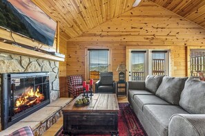 Télévision, cheminée, lecteur de DVD