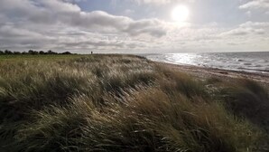 A beach with grassy dunes and a cloudy sky.