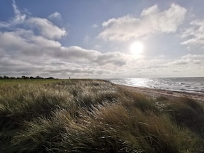 A beach with grassy dunes and a cloudy sky.