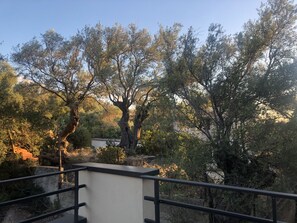 Property grounds - New T2 apartment with terrace, 800 m from town center and beach (L'Île-Rousse)