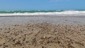 A beach with waves, pebbles, and a clear sky. - 4 Star Holiday Home in Fjerritslev (Fjerritslev)