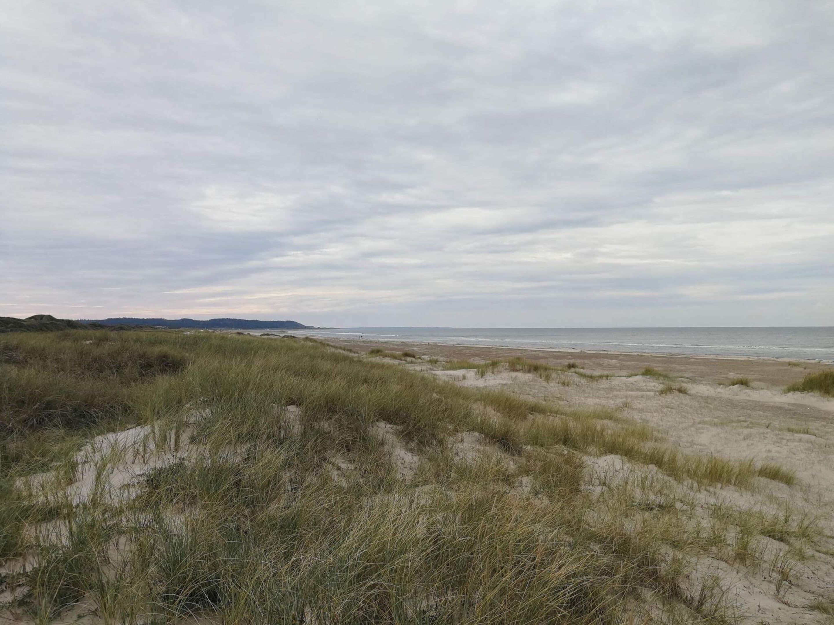 A coastal landscape with dunes and a beach.