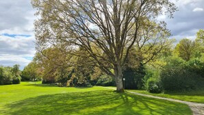 Un parc bien entretenu, avec un grand arbre, une pelouse et un chemin pavé.