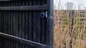 A wooden structure with a metal door, a blue lock, and a metal handle. - 8 Person Holiday Home in Nysted (Nysted)
