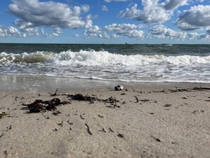 En strand med bølger, tang og et fjernt skib.