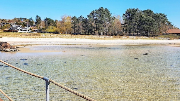 On voit clairement une plage avec une promenade en bois qui mène à l’eau, entourée d’arbres et de maisons en arrière-plan.