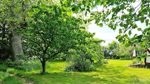 Um jardim exuberante com diversas árvores e um gramado bem cuidado.