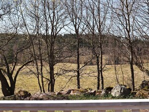 A view of a rural landscape with bare trees and a grassy field. - 4 Star Holiday Home in Knared (Knared)