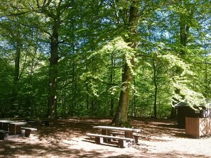 Une zone boisée équipée de tables de pique-nique et d’un petit abri.