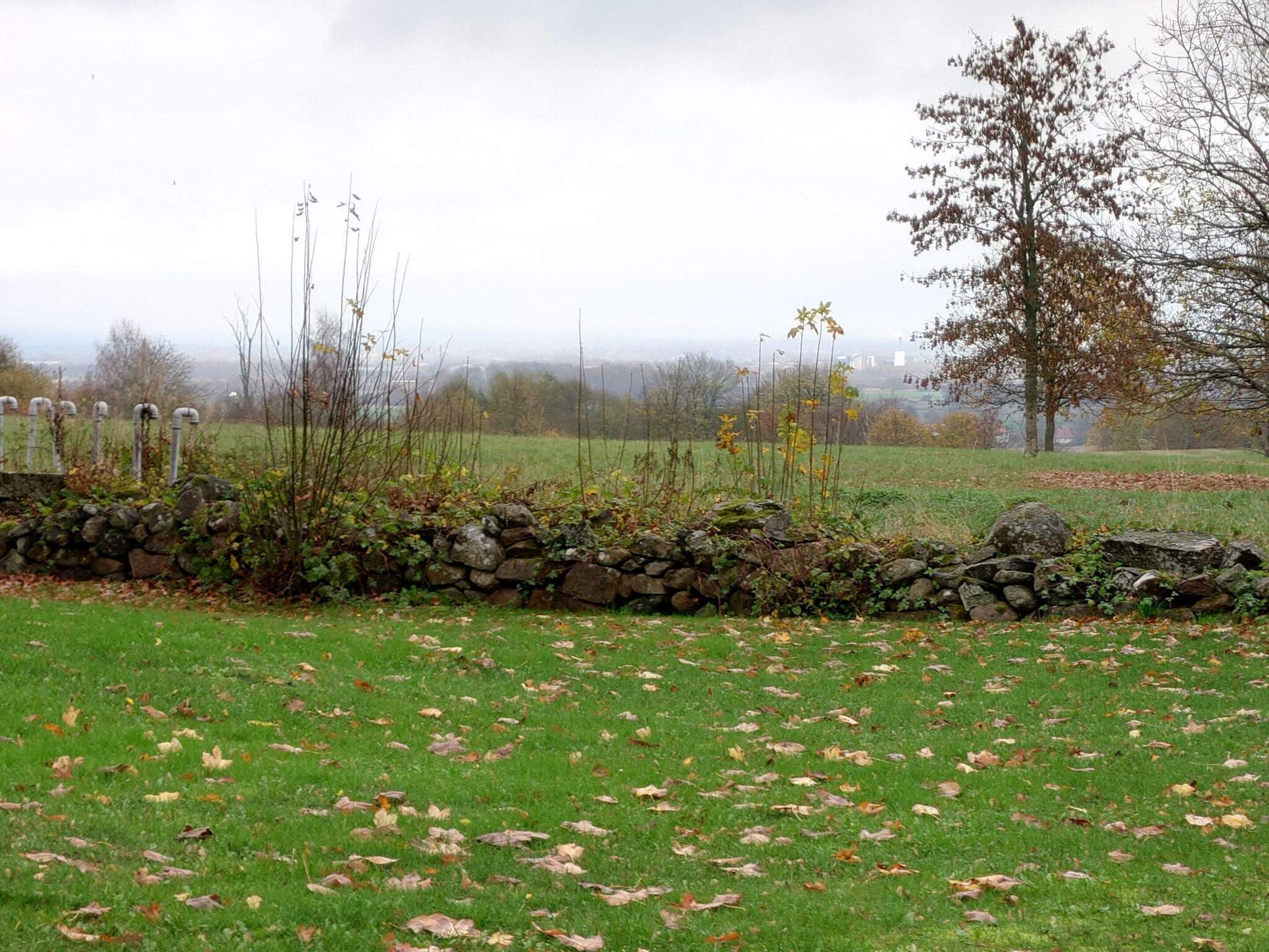 A stone wall with a grassy field and trees in the background.