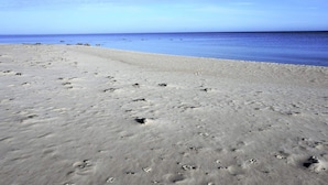Huis | Strand