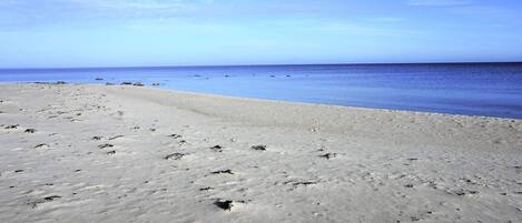 A beach with a clear sky and calm sea.