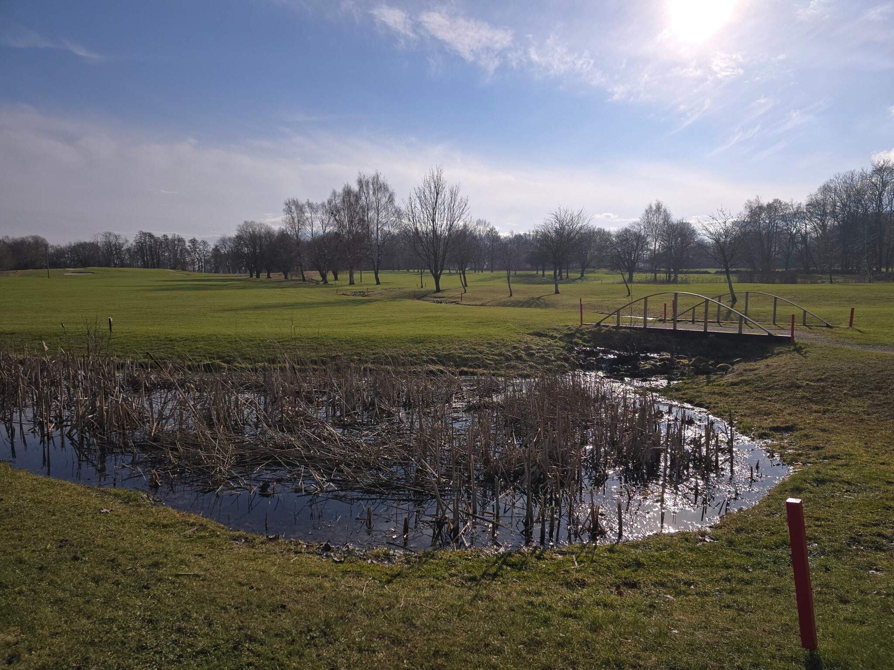 Un campo cubierto de hierba con un pequeño estanque y un puente.