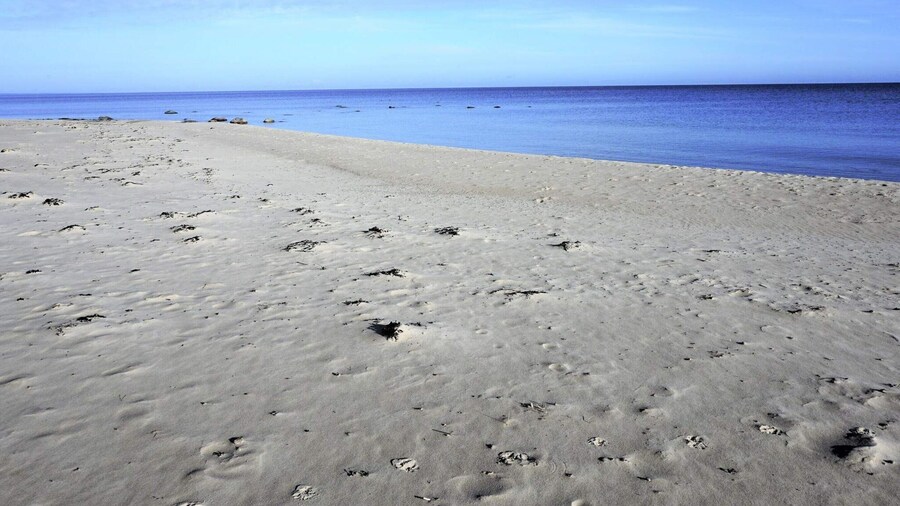 4 Person Holiday Home in Everod-by Traum